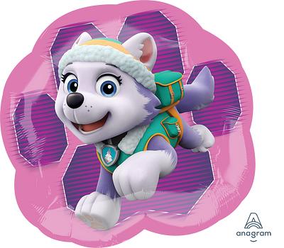 Paw Patrol Girls Skye & Everest